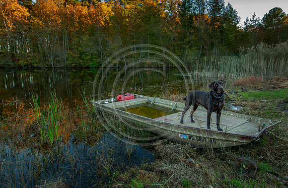 Lake Norman_1156 V3