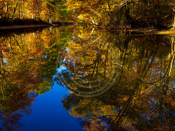 Fall on the Canal_B080364