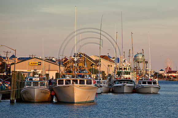 OC Harbor_MG_6646