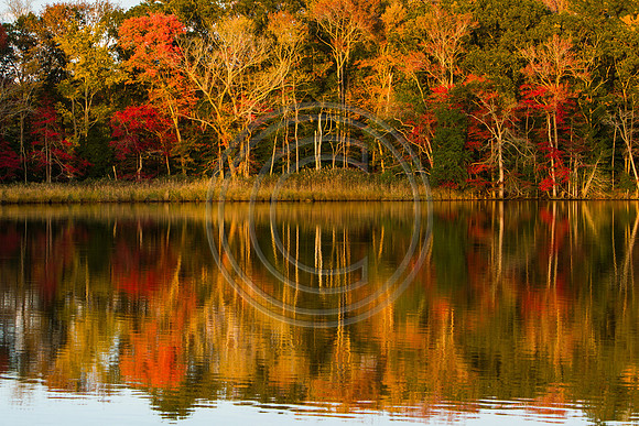 Autumns rendering_9549