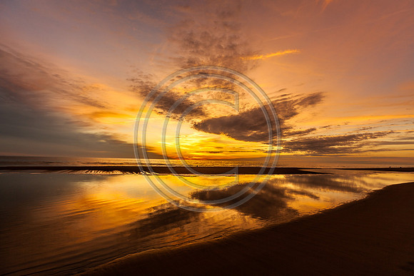 Morning Tidepool_2463