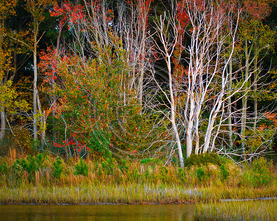 Colors_9767 -3