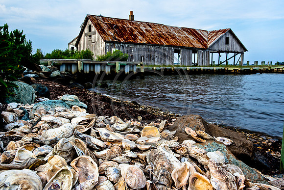 Oyster Shanty _2487 V2_
