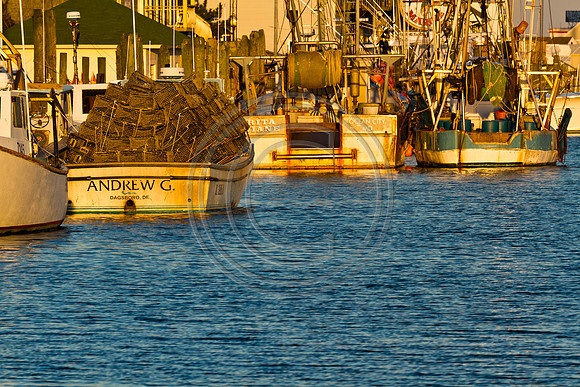 OC Boats - _MG_4358