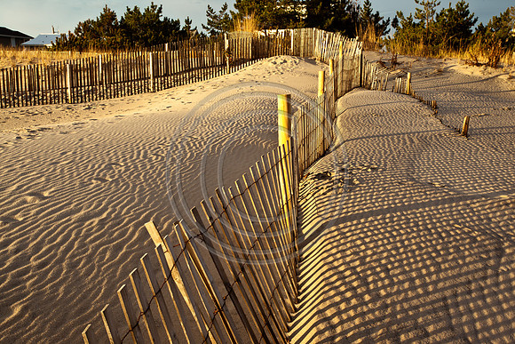 Dune Walk_0473