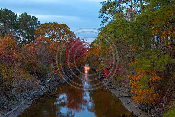 Autumn on the canal_5975