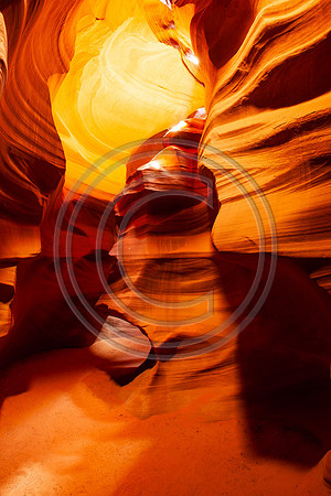 Antelope_6890-Edit