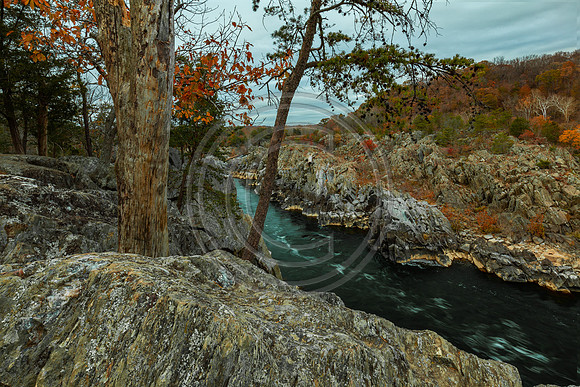 Great Falls_2836