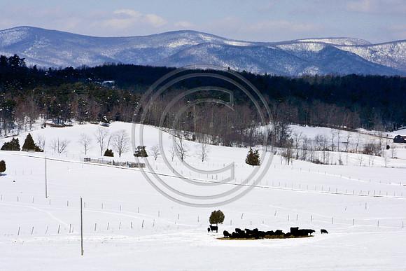 Rt42 mountain view 1 w snow_7102