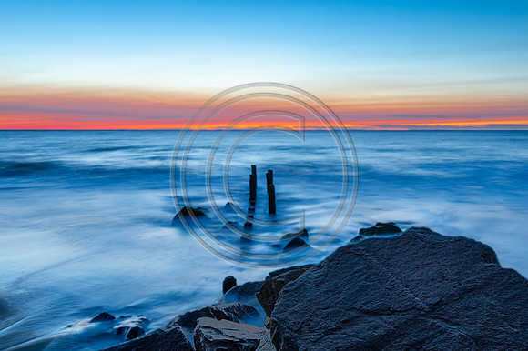 Herriing Point_8226 V2