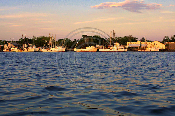 Fernandina Shrimpers_5839
