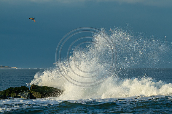 IMG_5167