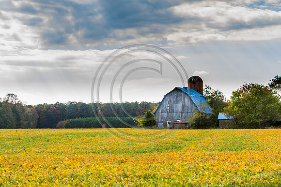 Roadside homestead_4731