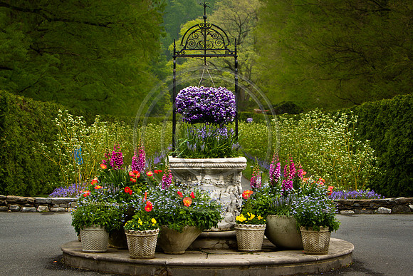 Garden 1_6710