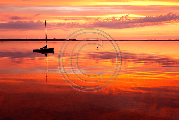Anchored_0274