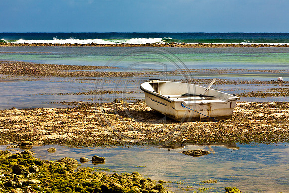 LowTide_2251 V-1