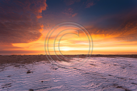 February morning-2479