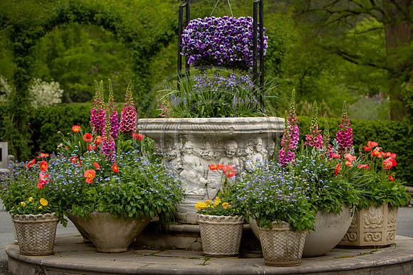 Garden 1_6708
