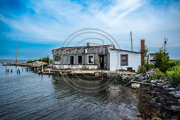 Oyster Shack_2486