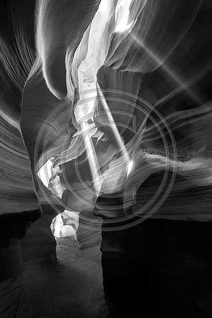 Antelope Rays of Hope_6906 V3 B&W