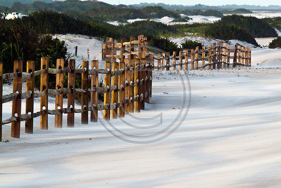Assategue Sandstorm_4361