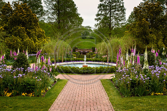 Garden 1_5755
