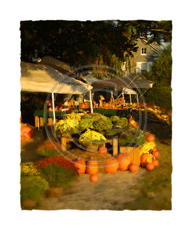 Always in Bloom
