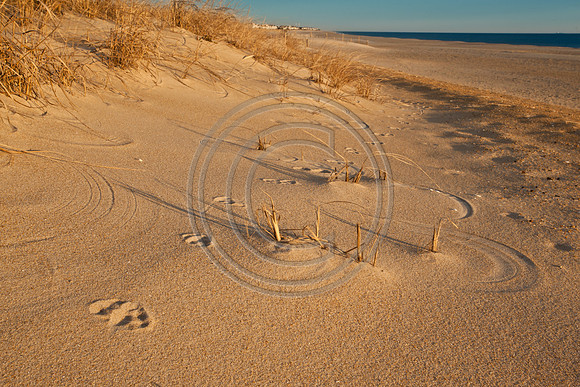 Foot Prints_7698