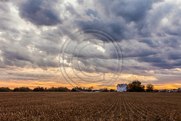 Fall Farm 0797 V2