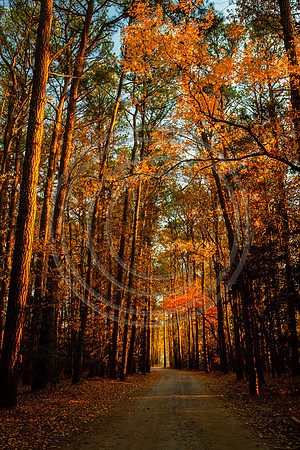 Camp Barnes Colors_1628