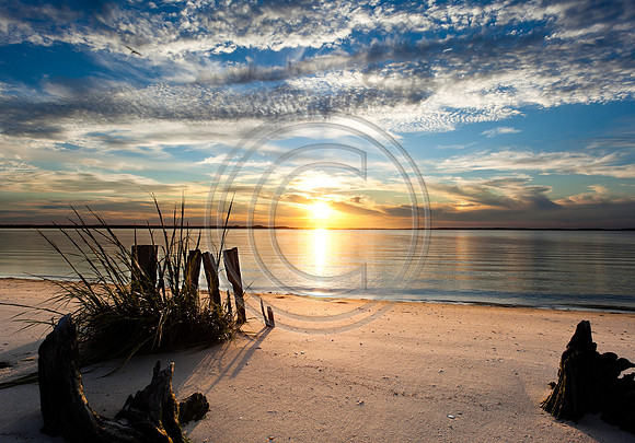 Paradise PointPeaceful Endings_0459 14X20 V4