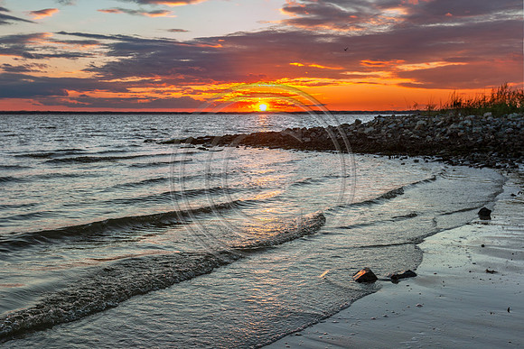 First Day of Summer 2019_2883 V2