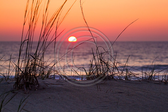 Dune Sunrise_8525