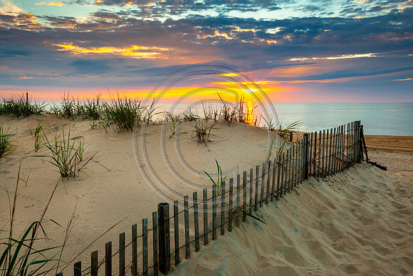 First Day of Summer 2018_7836 V5 Hope