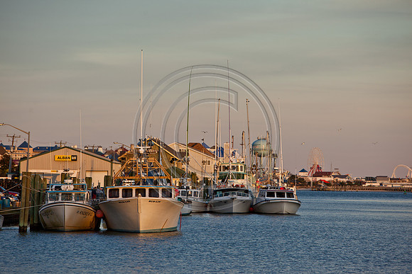 Boats OC Harbor_6646