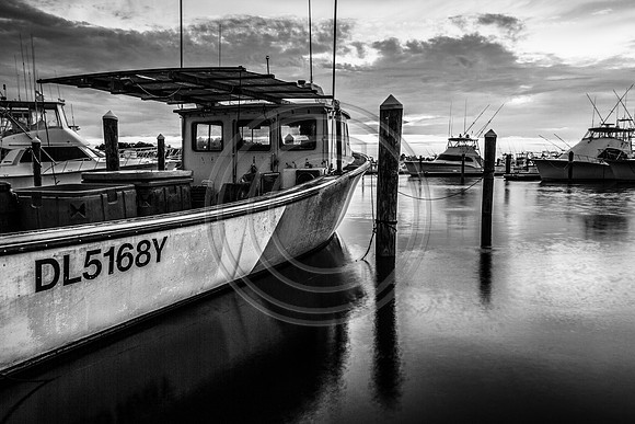 Dusky Marina 718 V6 B&W
