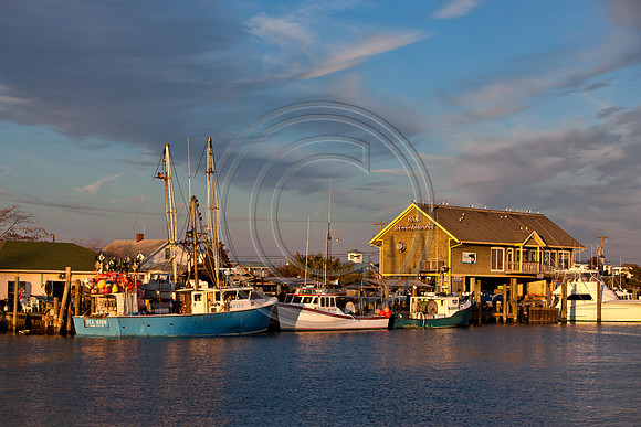 OC Harbor_MG_6640V1