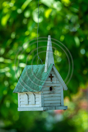 Holy Birdhouse_7307