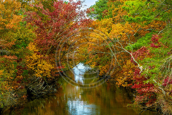 Canal_4643 V1