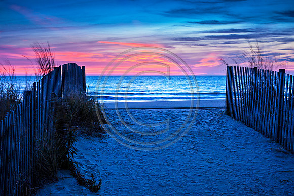 Blue Walkover_MG_2430 V5