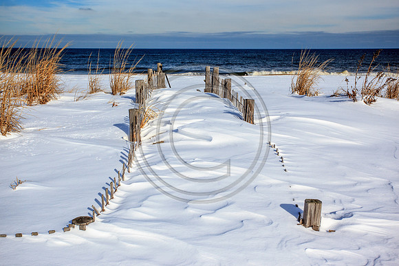 Buntings Walk_2650-2