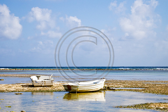 Low Tide 3181311