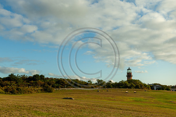 Lighthouse_0978