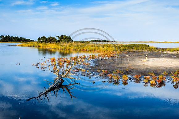Gordons Pond_6432-3