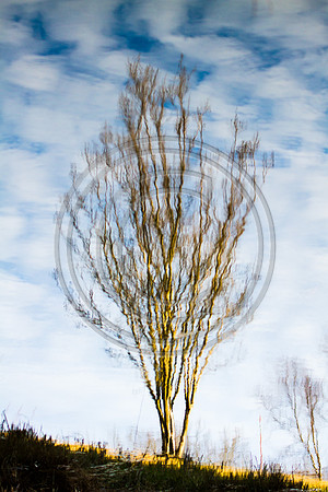 Reflection_MG_9875- V2