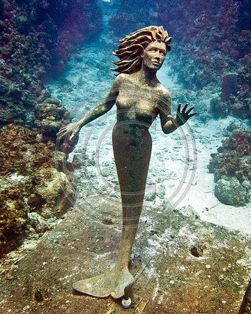 Mermaid P5080394