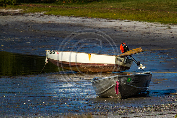 Dingys waiting on water_2215