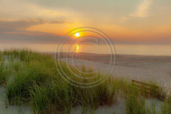 First Day of Summer 2021_7993