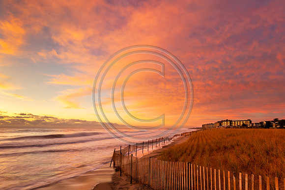 No Beach_2104