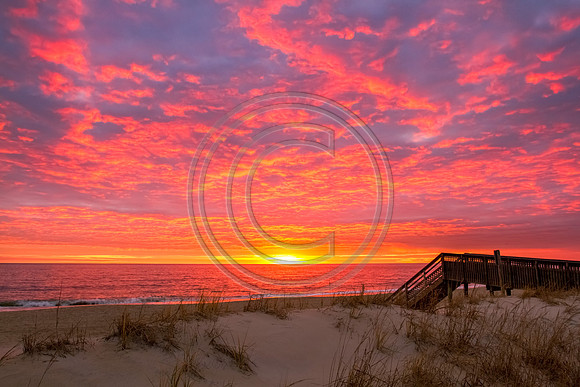 December morning_5708